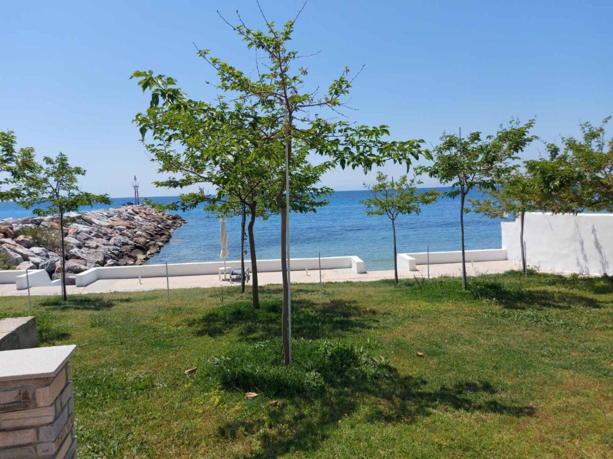 Aparthotel Pansion Alexandros By The Sea Nea Skioni Exterior foto